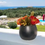 Elaias Gi